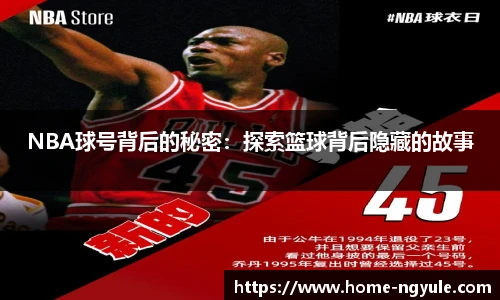 NBA球号背后的秘密：探索篮球背后隐藏的故事