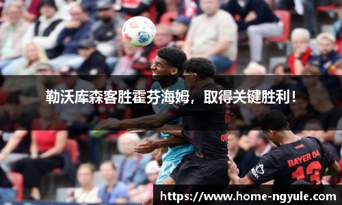 勒沃库森客胜霍芬海姆，取得关键胜利！